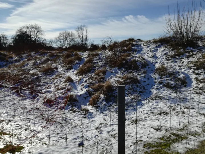 De Panne in de sneeuw (België)